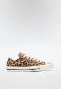 Deportivo de mujer leopardo Converse chuck taylor all star